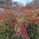 남천할매집 이미지