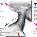 디럭스짐 이미지