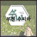 인천삼산실내교통교육장 | 부천 수피아 겨울철 아이랑 나들이 장소로 딱 좋은 실내 식물원