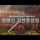 장태산 자연휴양림-2편(출렁다리ㆍ스카이웨이ㆍ스카이타워) 이미지