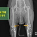 야시 PC 네이버블로그