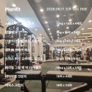 2026년 6월 3주차 운동기록 (feat. AI PT 어플 플랜핏 한달 사용 후기)