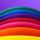 비비드vivid 이미지