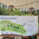 구들티농장3 | 제주 표선 녹차 축제, 와일드오차드 티 페스티벌 후기