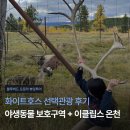 (주)용암온천관광호텔 | [블루버드 오로라 뷰잉투어] 화이트호스 선택관광 후기: 야생동물 보호구역 + 이클립스 온천