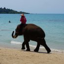 스위치(switch) 이미지