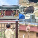 효자4동-11(전주푸드 내) | 전주동물원 주차 및 입장료, 관람정보 아이와 함께 만난 동물들