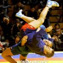 삼보