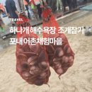 지족어촌체험마을 | 인천 맛조개 잡기 I 조개체험 하나개 해수욕장 포내 어촌체험마을 내돈내산 후기 (주차, 가격, 준비물)