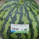 우강농협 하나로마트 이미지