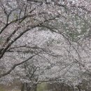 미진여인숙 이미지