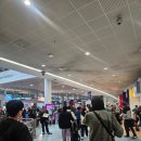 퀸스타운 가기, 에어뉴질랜드 항공기 결항 후기(옐로우버스 노선, 홀리데이인 호텔, 여행자 보험 보상)