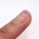 네일하는 강아지 | [선릉역네일 추천] 레푸스 선릉점 인디고네일 문제성 손톱관리 솔직후기 (feat.김혜미실장님) 💅