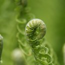 하이트캠프 이미지