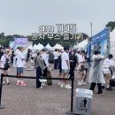 신-코리아태권도 | 디즈니런 서울 2025 10km 체력거지의 후기 참고하세요.. 일정 메달 코스 굿즈 기록 조회방법 총정리