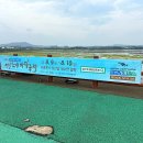성산읍 오조리 성산중기 옆 | 제4회 제주 성산조개바당축제 첫날 구경하고 온 후기!