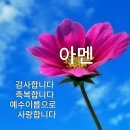 무지개산악회 수리산답사기 **@ 이미지