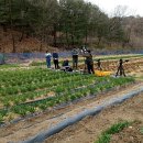 터골농원 이미지