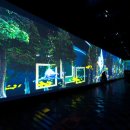 예술랜드리조트 이미지