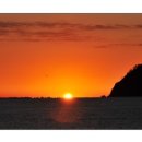 소남머리 이미지