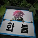 성광화방 - 종로구 종로54길 19 | 성광화방