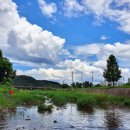 마장2리 이미지