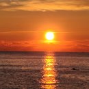 복정형외과의원 이미지