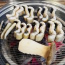 웬장어 | 평촌역 맛집 ‘팔팔장어 평촌본점’ 장어, 돼지갈비 다 맛있는 가성비 맛집❤️