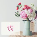 지금 뜨는 인기 핫딜 (03.06.수)