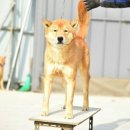 달아실 농원 이미지