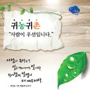 곡성-205 뉴시스