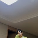 플랙갤러리아