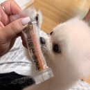 롱런하개 이미지