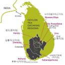 2021.12.5 [비채담 홍차수업] 고급과정 4회 : 스리랑카 홍차(1) 이미지