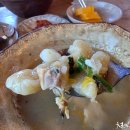 너구리의 피난처 이미지