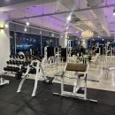 위너스타짐 이미지