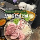 청미 | 강남 논현 애견동반 가능 고깃집 | 24시간 운영하는 청미돌판삼겹살 내돈내산 방문 후기
