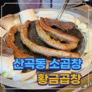 황금곱창 | 인천 산곡동 소곱창맛집 황금곱창 내돈내산 후기 곱 찐맛집