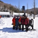 새하얀목장 이미지