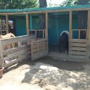 미사리 승마공원 이미지