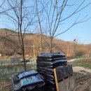 나오리농장 이미지