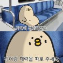 춘양면사무소 | 월간 히쨩(25.08)