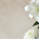 SK텔레콤산청 이미지