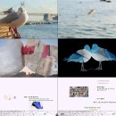 한국조형예술고등학교 이미지