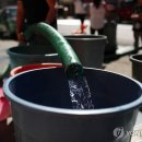달찰콘