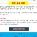 양지파인리조트 이미지