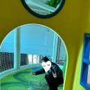 소원초등학교 이미지