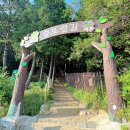 현대인-공존 이미지