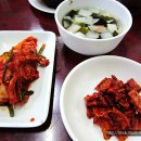 돌고래식당 이미지