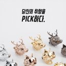 홈플러스 원주점(2층) 이미지